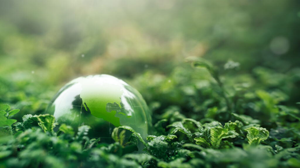 net zero Carbon neutral concepts for net zero emissions fashion textile environmental, social and governance goals. Long-term, climate-neutral strategy